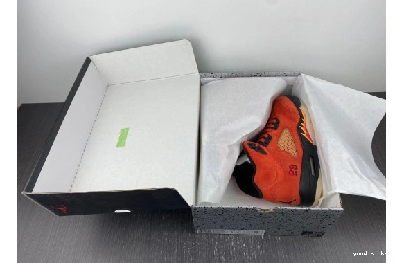 5 DD9336-800 on Jordan DD9336-800 Mars Retro Dunk 0501
